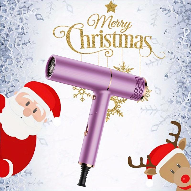 Professional Hair Dryer With Diffuser Blow Dryer Ionic Fast Blow Dry For All Hair Types Holiday Gift