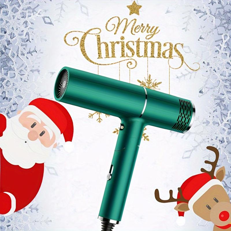 Professional Hair Dryer With Diffuser Blow Dryer Ionic Fast Blow Dry For All Hair Types Holiday Gift